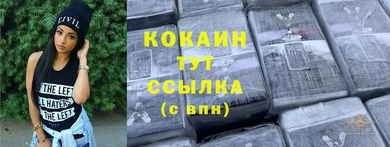 хочу   Вилючинск  Cocaine FishScale 